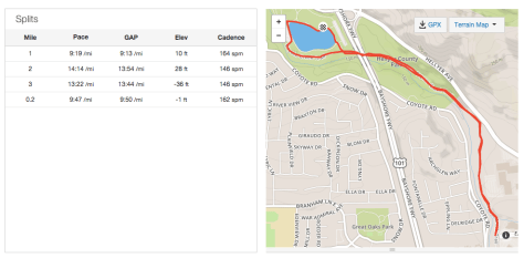 A reasonable first mile with Buddy, and then he put the brakes on... but we made it!