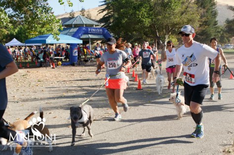 Starting the 5k9. Buddy's already dragging, and we're only 50 feet into the race